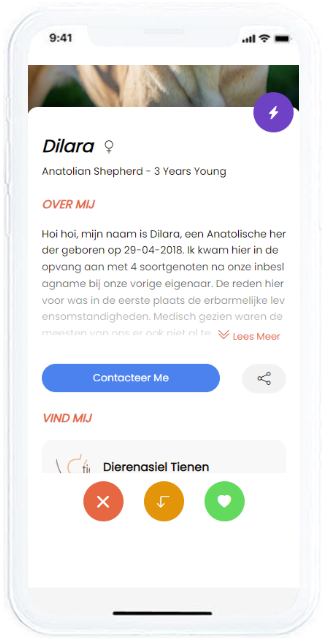 Leashr app hond detail contact opnemen